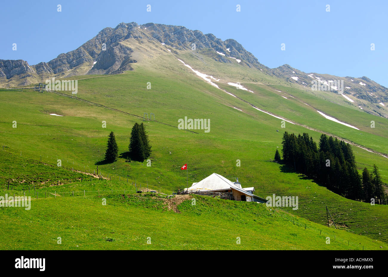 Pâturage d'altitude près du Mont Kaiseregg fribourgoises alpes Suisse Banque D'Images