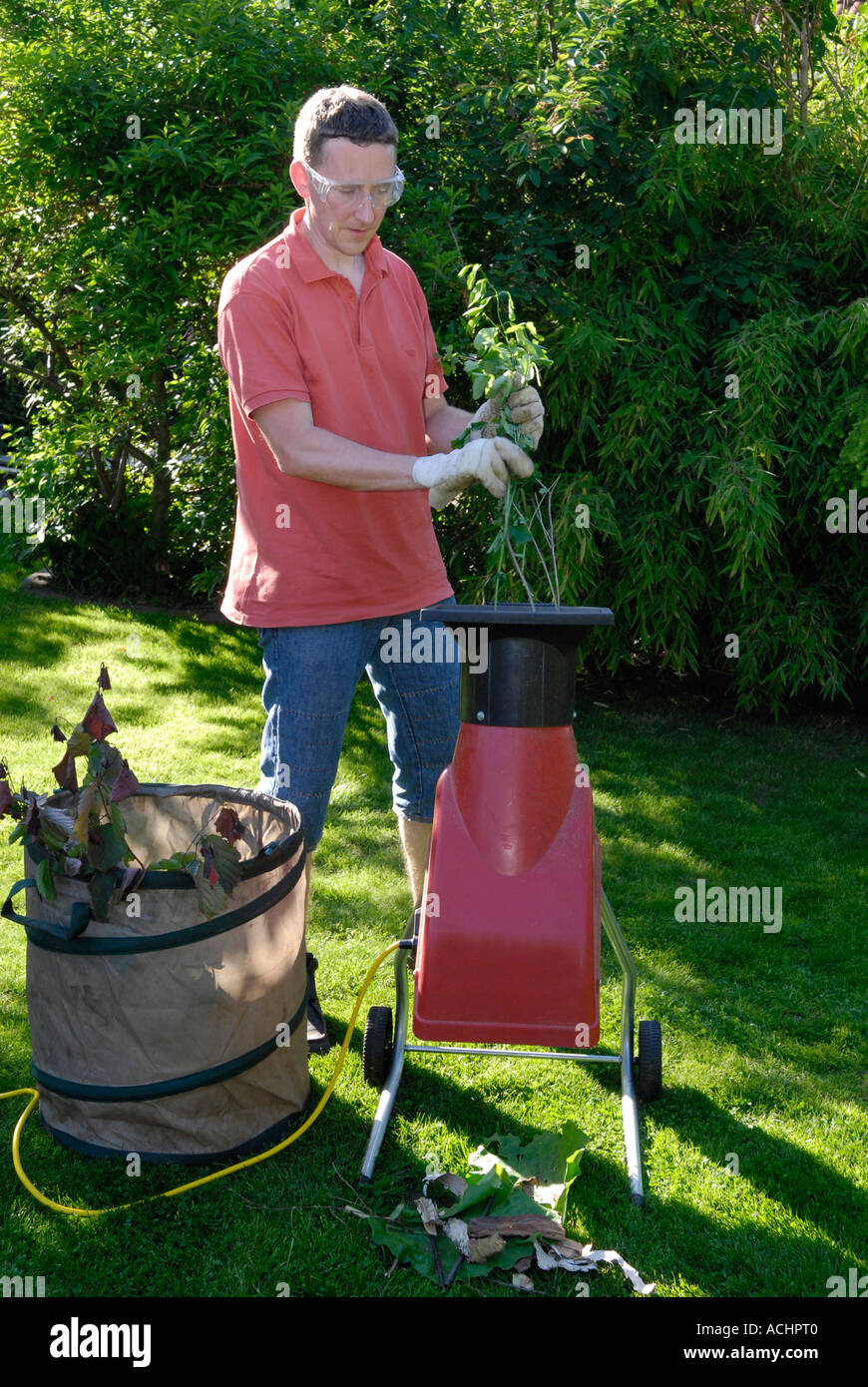 L'homme coupe les déchets de jardin avec shredder Banque D'Images