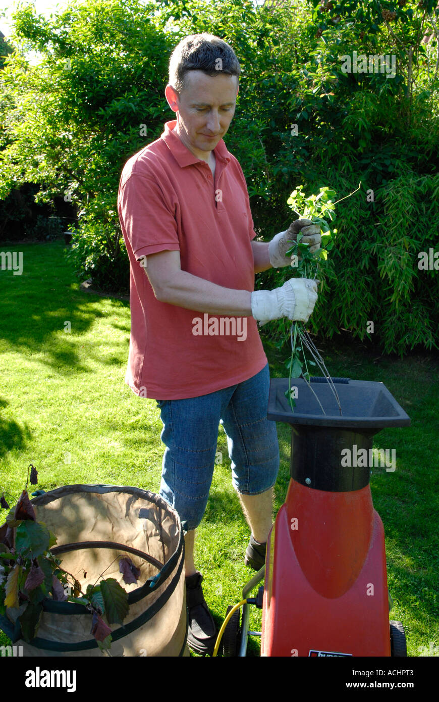 L'homme coupe les déchets de jardin avec shredder Banque D'Images