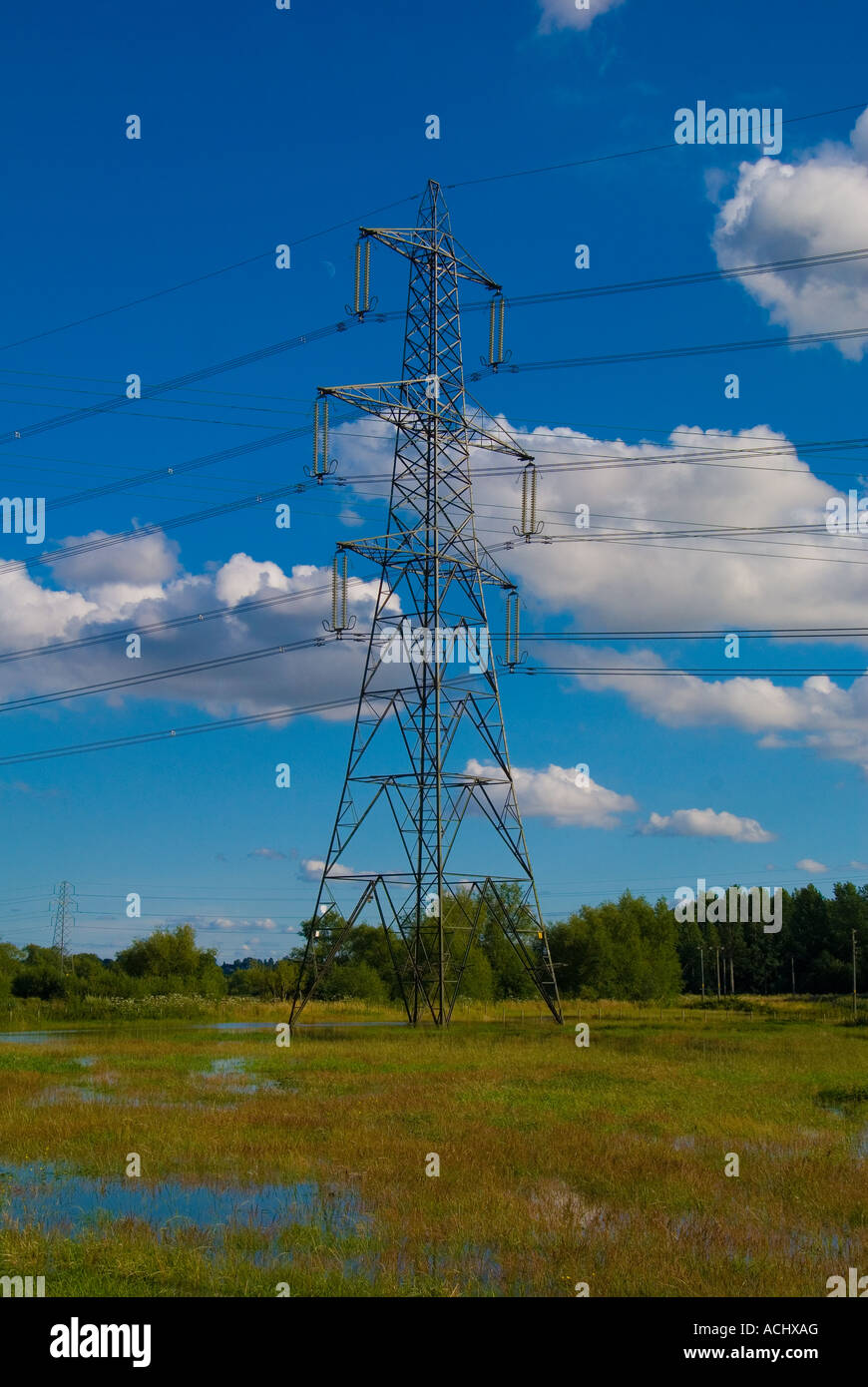 Pylône de l'électricité dans un champ inondé Banque D'Images