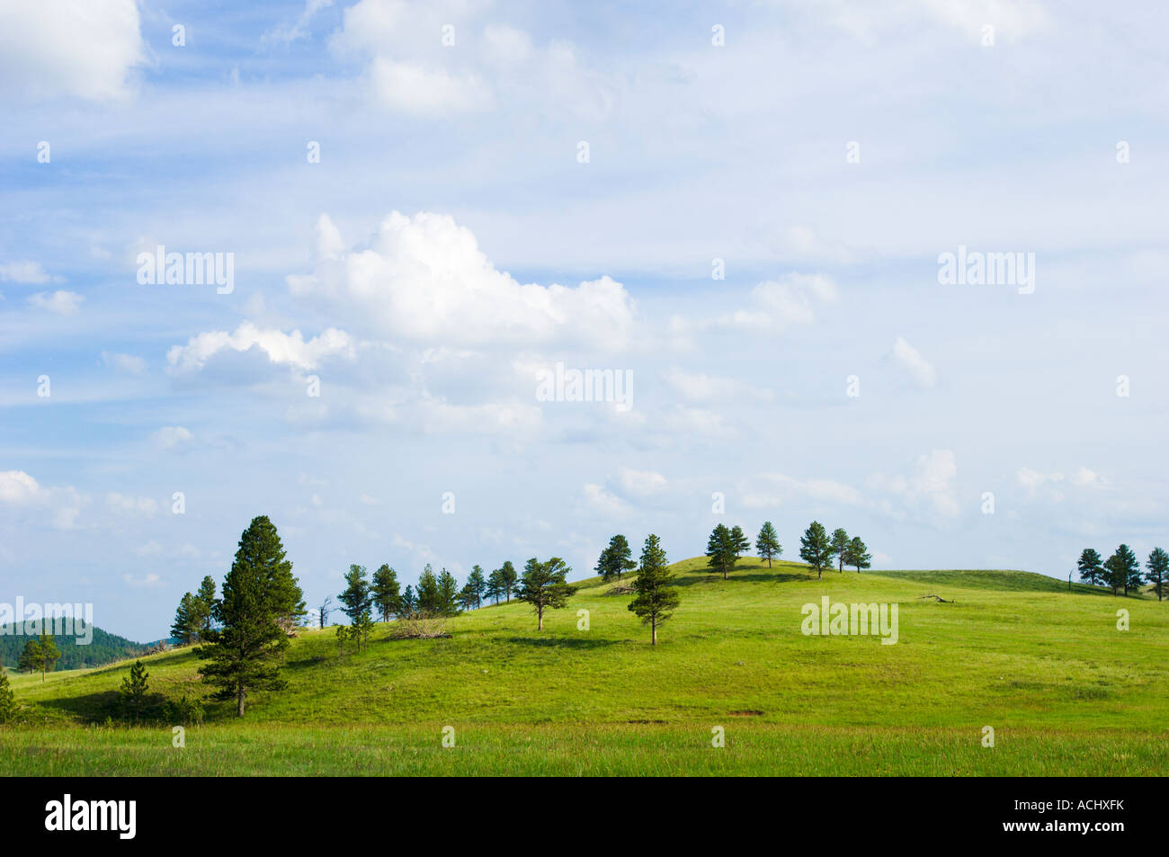 Une colline herbeuse et un ciel nuageux ciel bleu. Banque D'Images