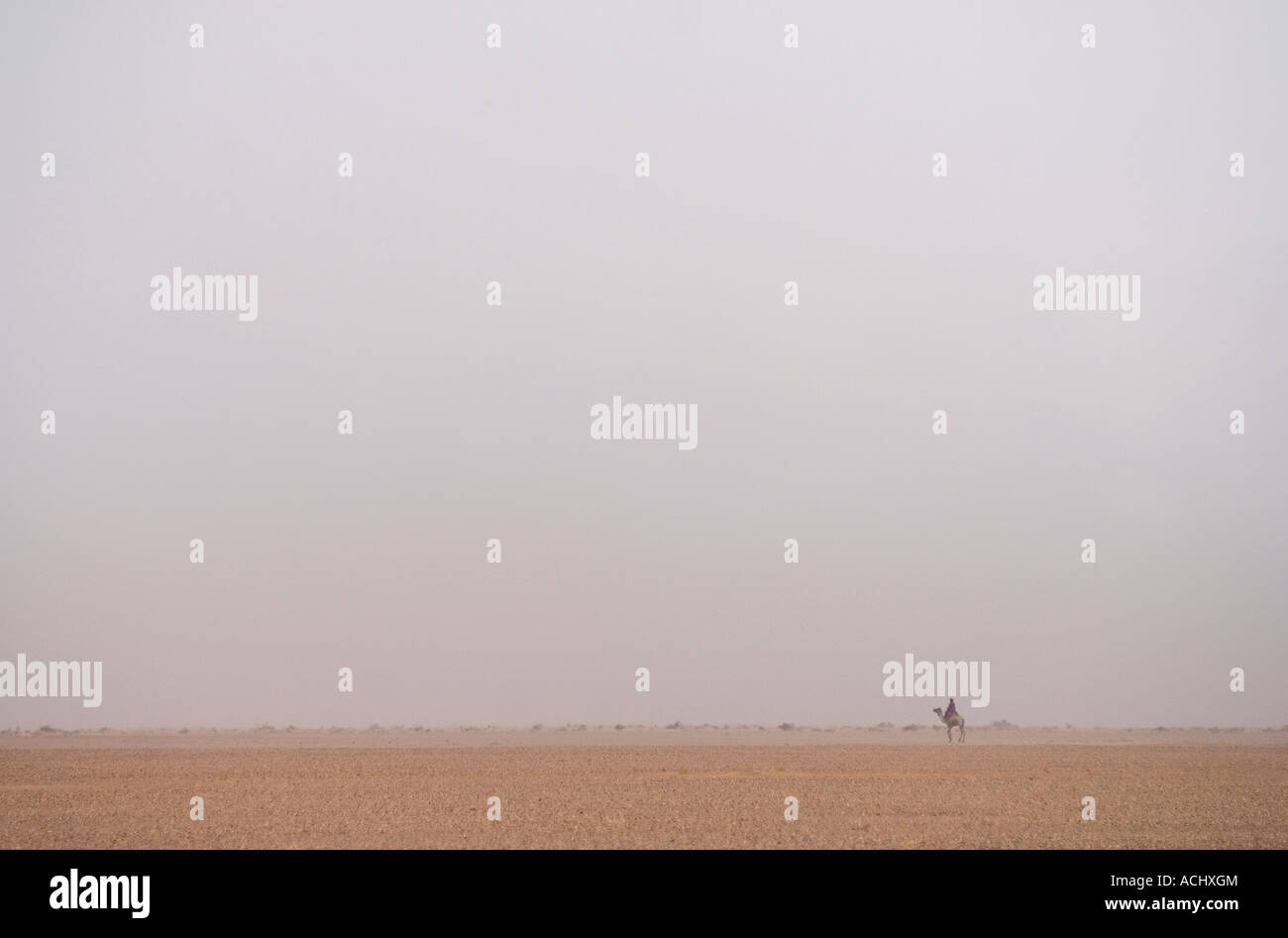 Seul un cavalier touareg traverse le Ténéré vide déchets de l'Algérie Sahara central en route de Tamanrasset à Djanet Banque D'Images