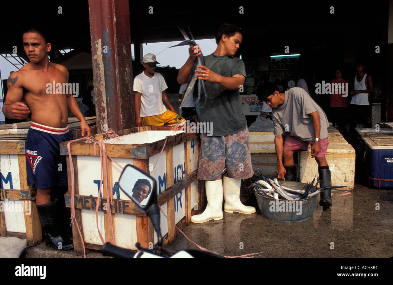 Les travailleurs aux Philippines pour décharger du poisson au port de pêche de Navotas Manilas complexe en début de matinée Banque D'Images
