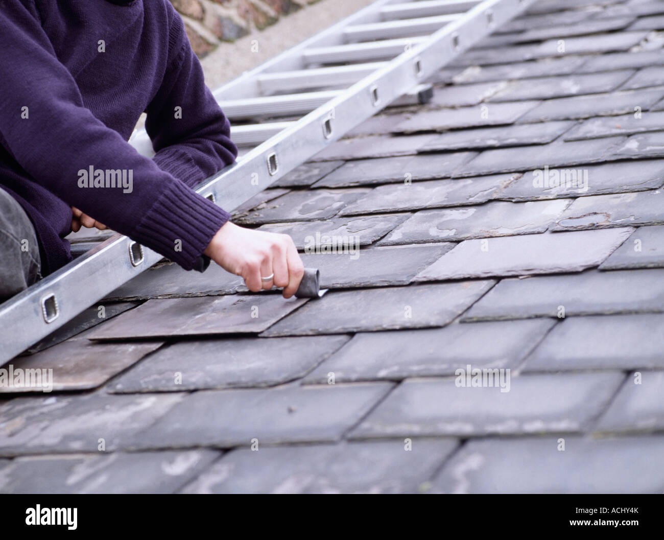 Fixation de l'échelle de l'homme sur l'ardoise du toit Photo Stock Alamy — free download
