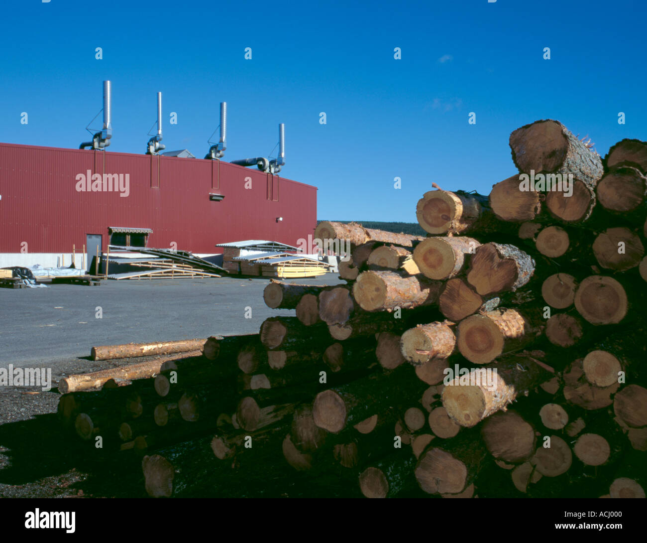 Usine moderne de traitement du bois près de Lycksele, Västerbotten län, Suède. Banque D'Images