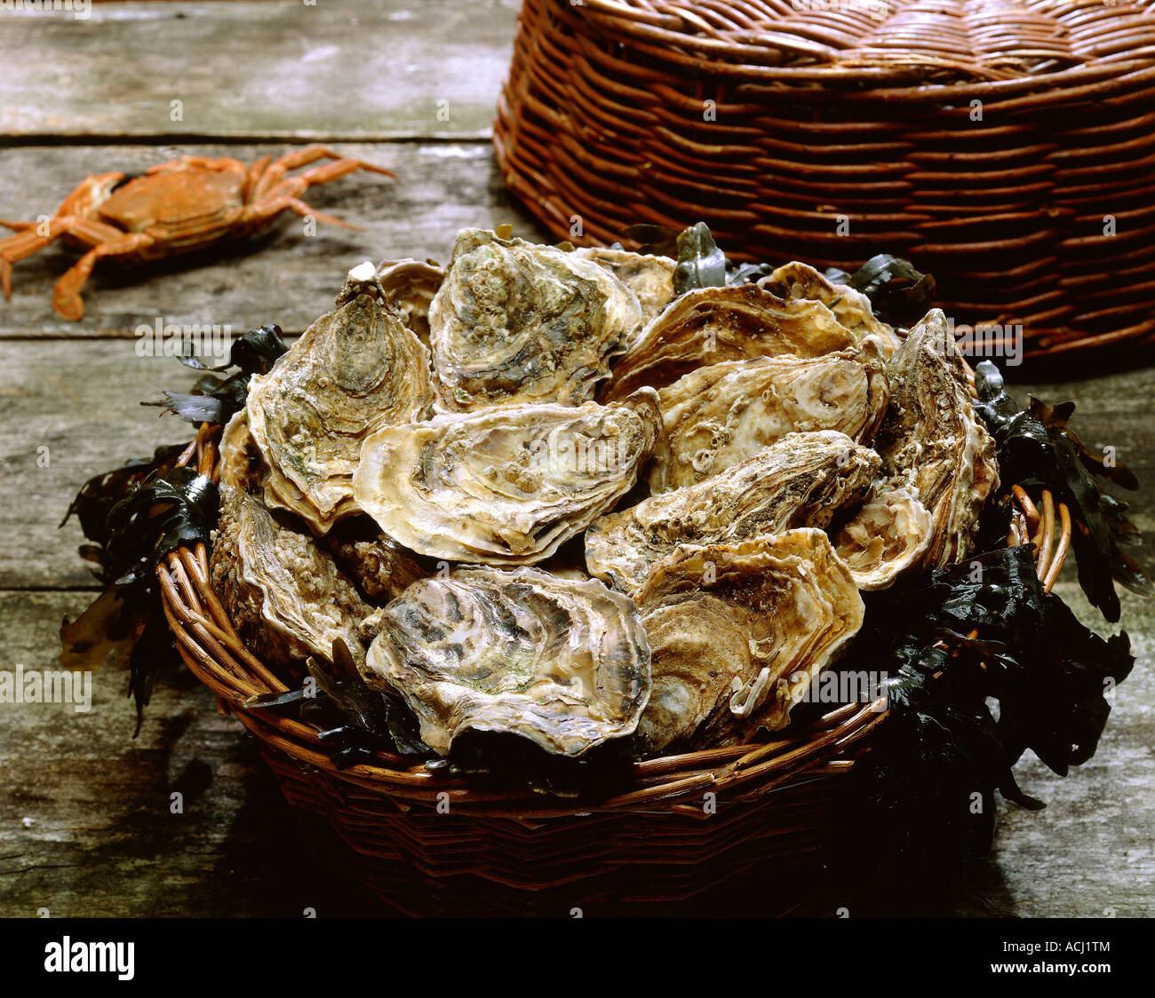Les huîtres en crabe panier Banque D'Images