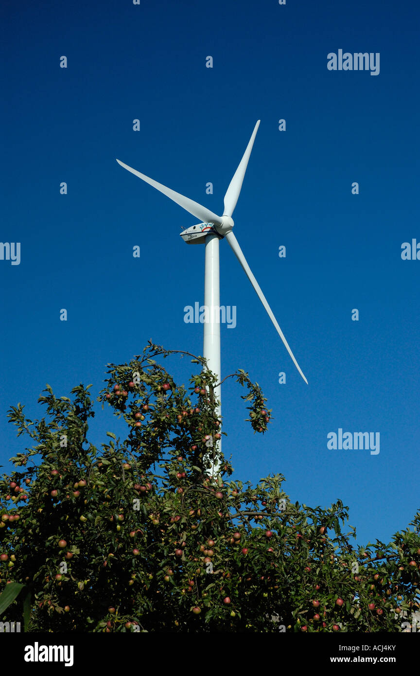 Apple tree against blue sky with wind turbine Banque D'Images