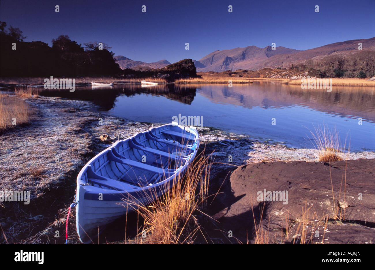 Bateau de pêche du matin d'hiver à côté d'Upper Lough. Les lacs de Killarney, le Parc National de Killarney, comté de Kerry, Irlande. Banque D'Images