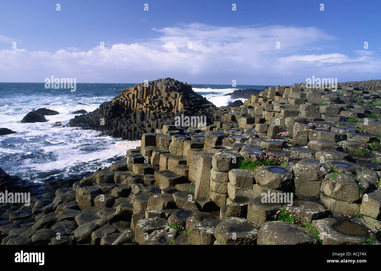 L'économie de plus en plus parmi les colonnes hexagonale de la Giant's Causeway, Co Antrim, en Irlande du Nord. Banque D'Images