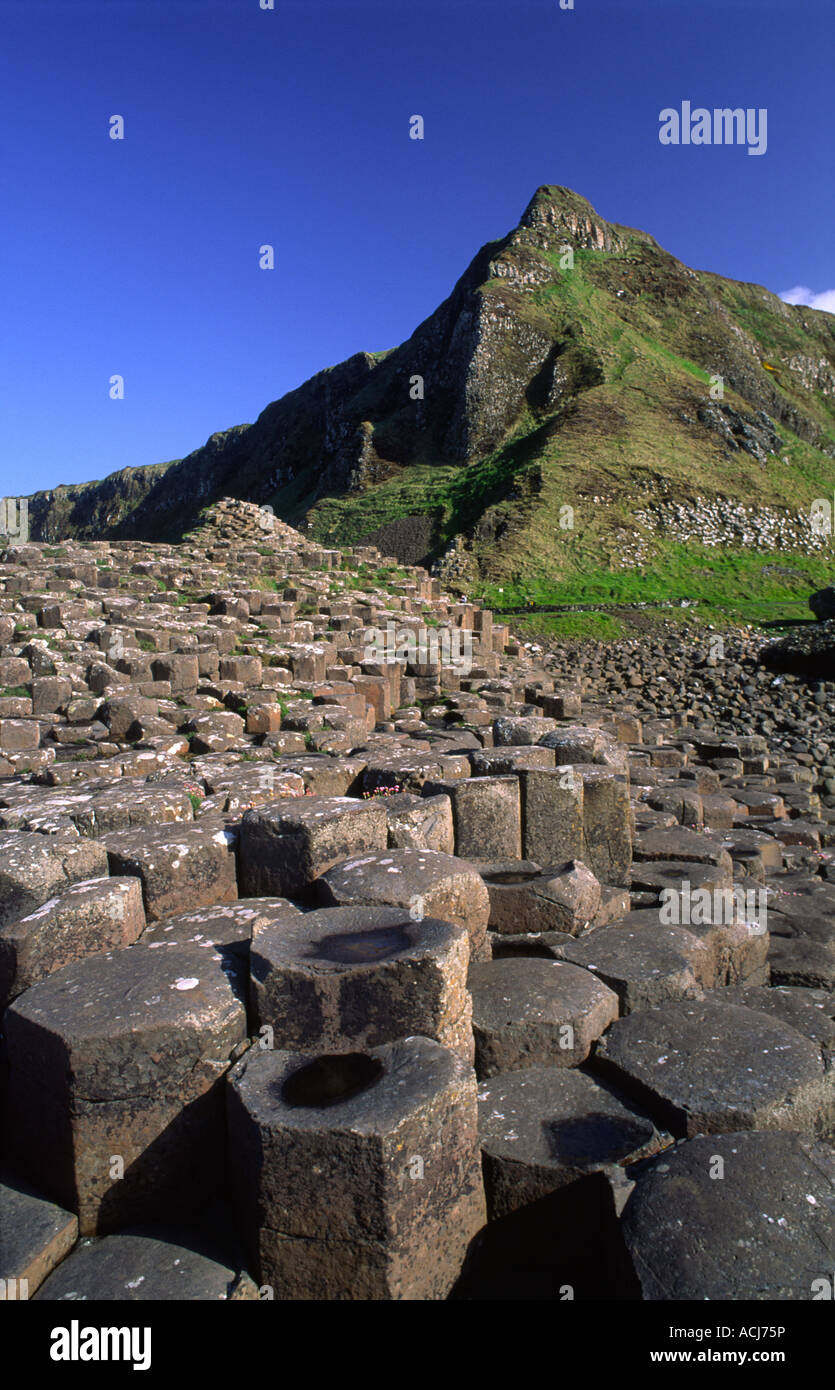 Les colonnes hexagonale de la Giant's Causeway, le comté d'Antrim, en Irlande du Nord. Banque D'Images