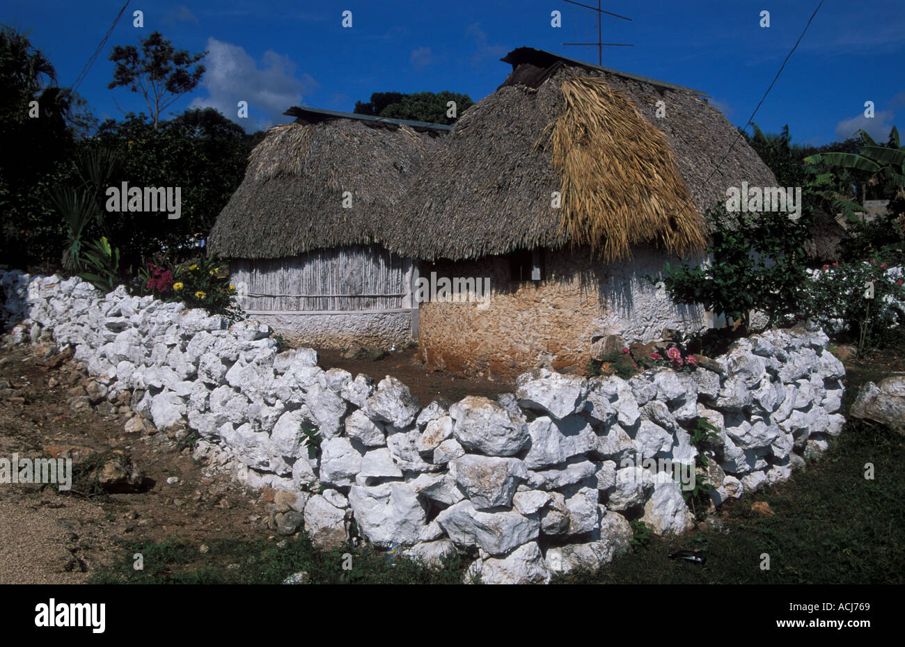 Habitation traditionnelle typique Maya Yucatan Mexique Banque D'Images