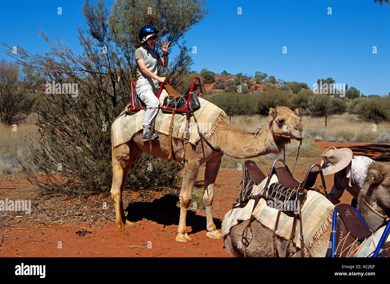 Train de chameaux et de rider, Kata Tjuta National Park, Territoire du Nord, Australie Banque D'Images