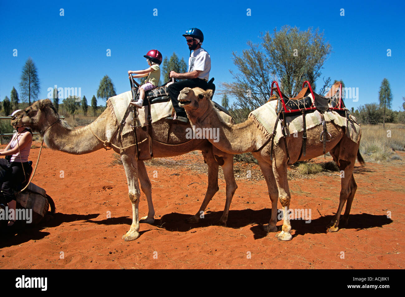 Train de chameaux, riders, Kata Tjuta National Park, Territoire du Nord, Australie Banque D'Images