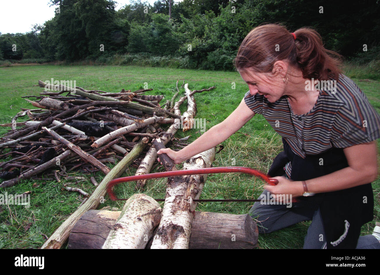 Femme dans le sciage du champ à travers le bois en préparation pour faire un feu de bois, Middlesex, Royaume-Uni. Banque D'Images