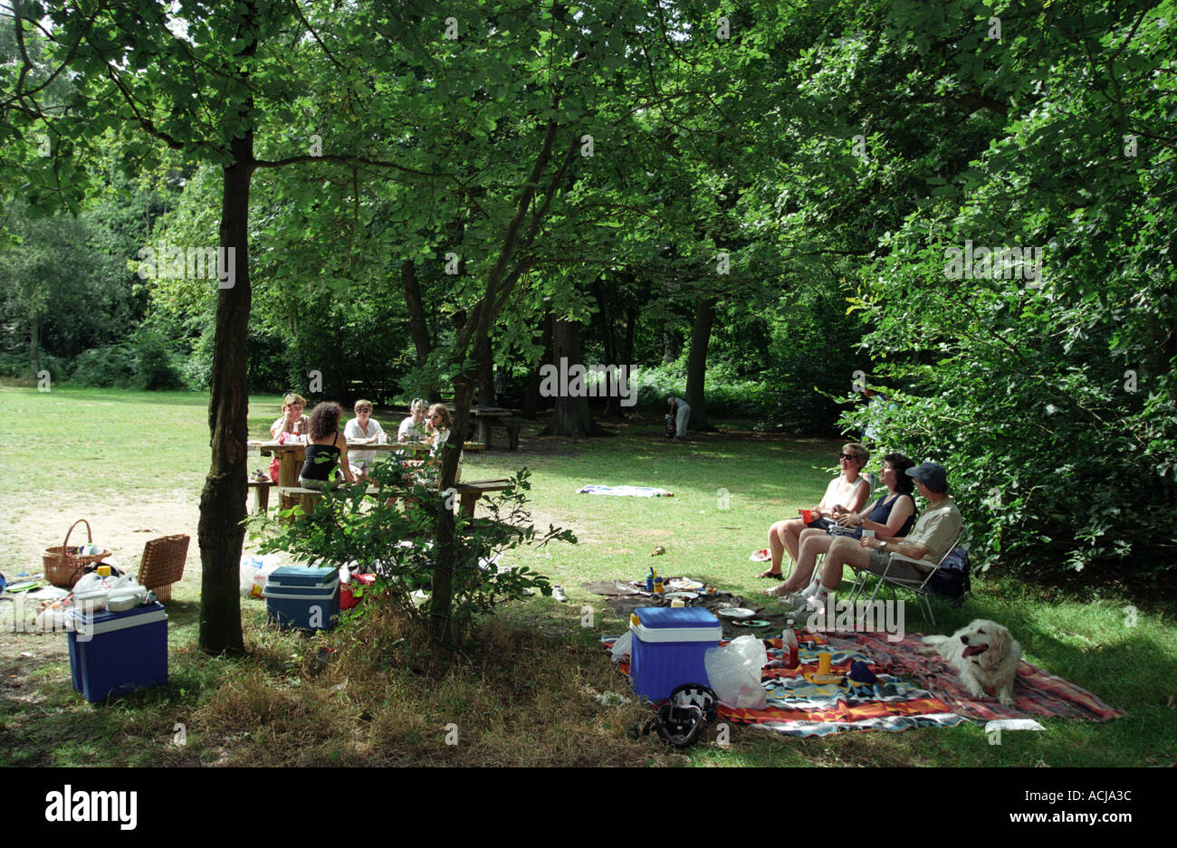 Familles et amis picknicking dans le parc, London, Middlesex, Angleterre. Banque D'Images