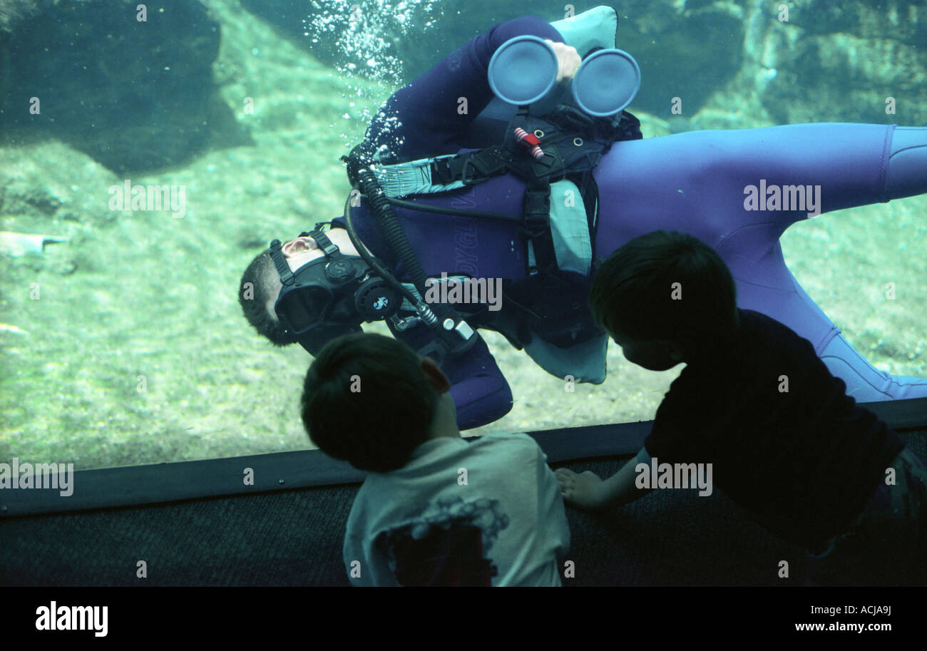 Nettoyage à l'intérieur d'une grande diver aquarium réservoir deux enfants regardant Banque D'Images
