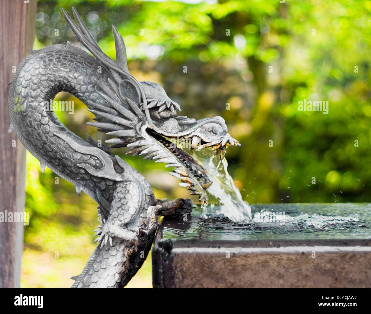 Une Fontaine Deau En Forme De Dragon à Un Sanctuaire Shinto