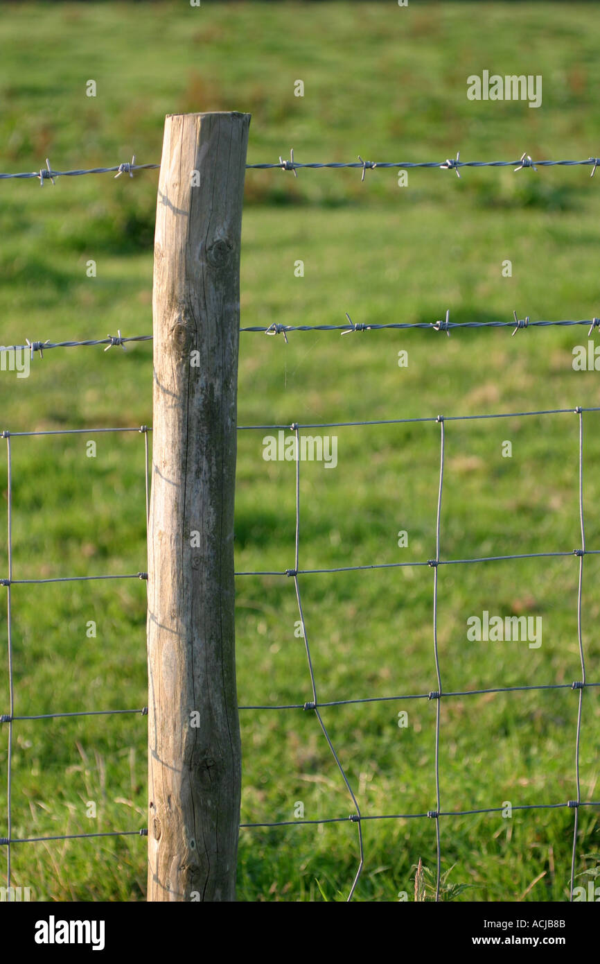 Chicken Wire Fence Banque du0027image et photos - Alamy