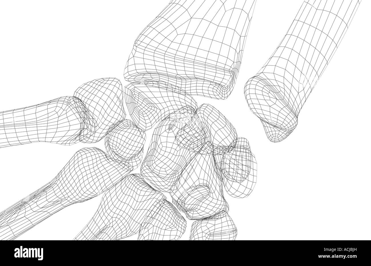 Les os du poignet Banque D'Images