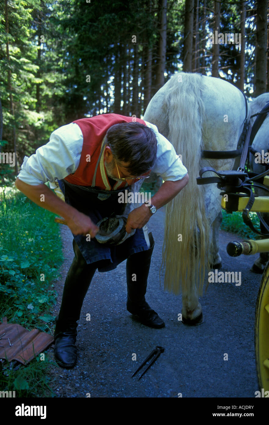 L'homme allemand, allemand, l'homme, de la réparation, fixation, fer à cheval, conducteur de chariot tiré par des chevaux, calèche, Pahl, Bavière, Allemagne Banque D'Images