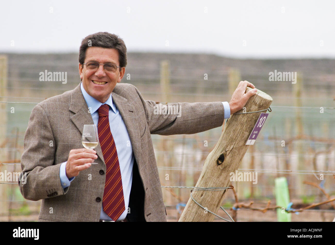 Luis Maria Focacci, associé directeur et propriétaire, avec un verre de vin dans le vignoble. Bodega NQN Winery, Vinedos de la Patagonia, Neuquen, Patagonia, Argentine, Amérique du Sud Banque D'Images