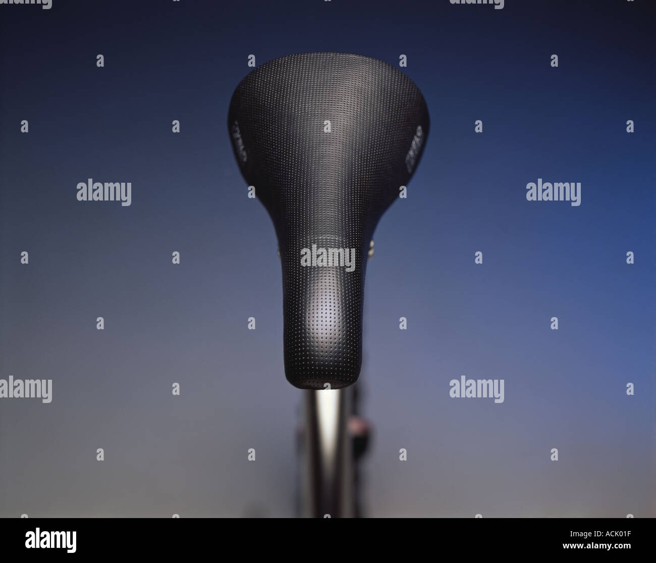 Un siège de bicyclette Banque D'Images