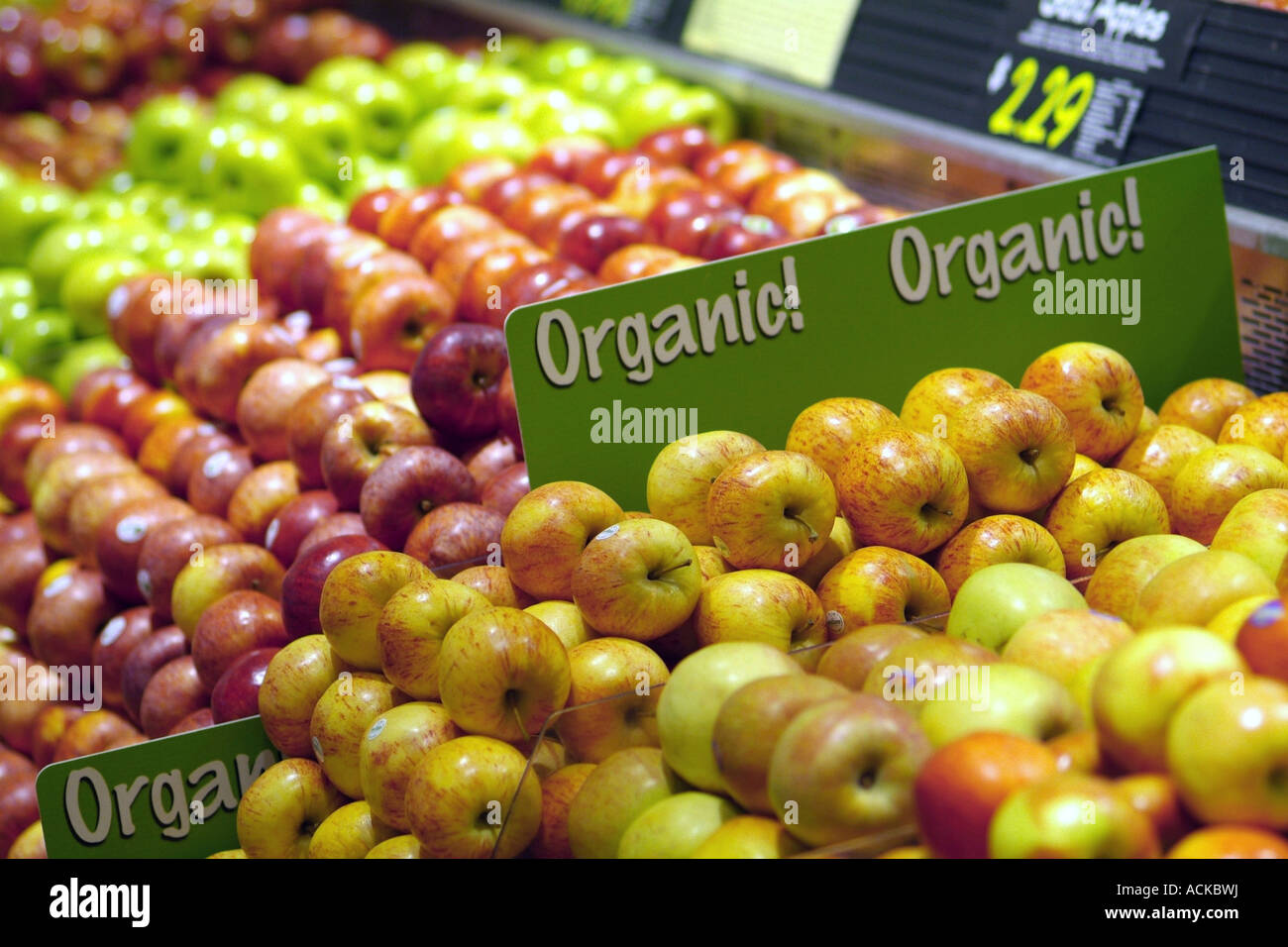 Les pommes biologiques et des fruits dans un supermarché du Connecticut Banque D'Images