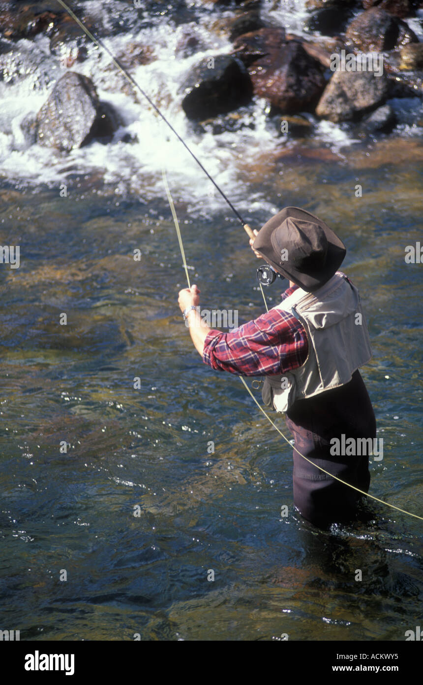 L'homme pêche le long de la rivière Cache La Poudre, Colorado Banque D'Images