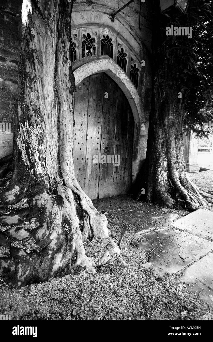 If de deux arbres qui entourent la porte de l'église à Stow on the Wold , Cotswolds , en Angleterre. Monochrome Banque D'Images