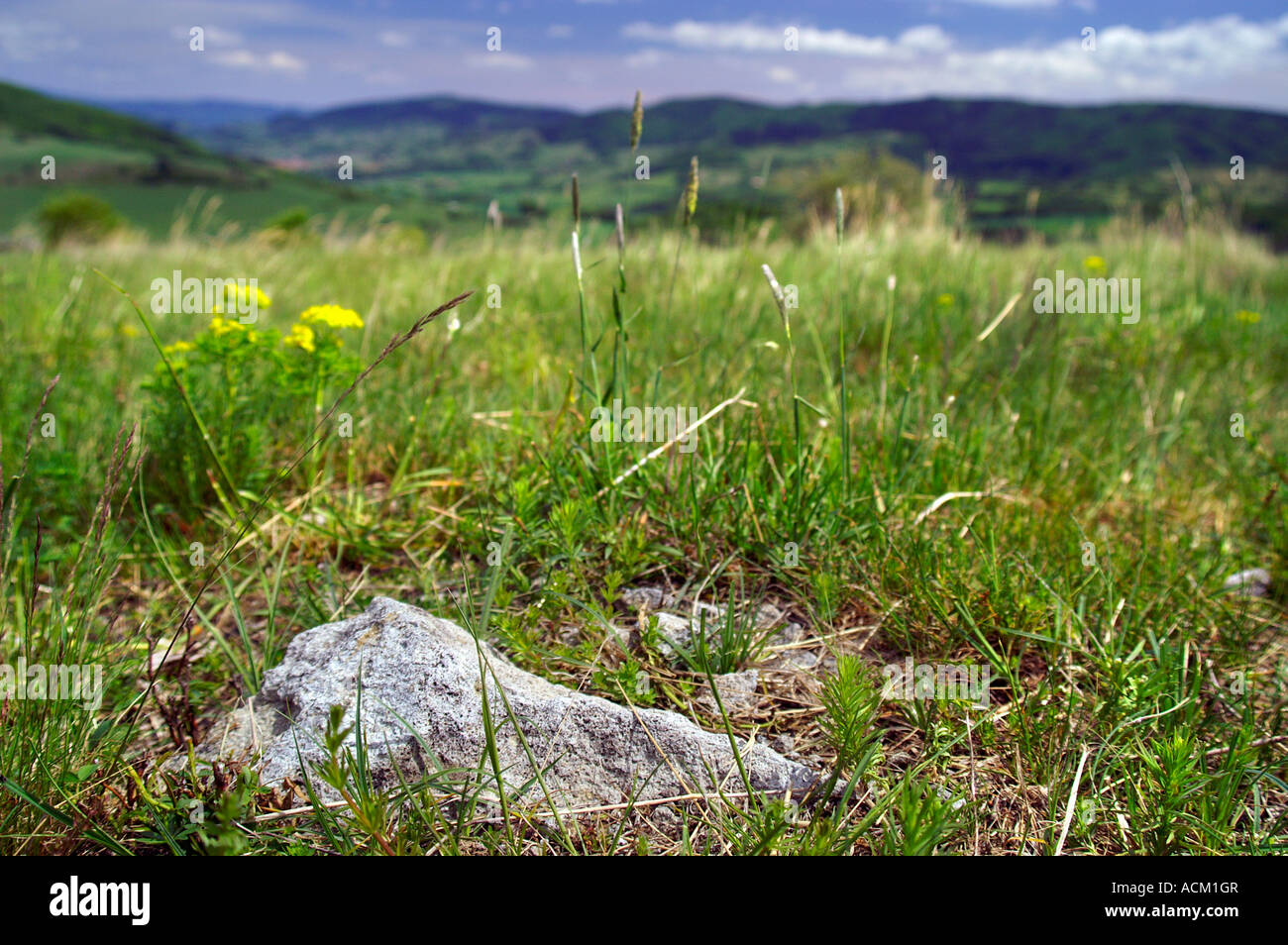 Zone rurale éloignée de la Slovaquie, à Zajezova village Banque D'Images