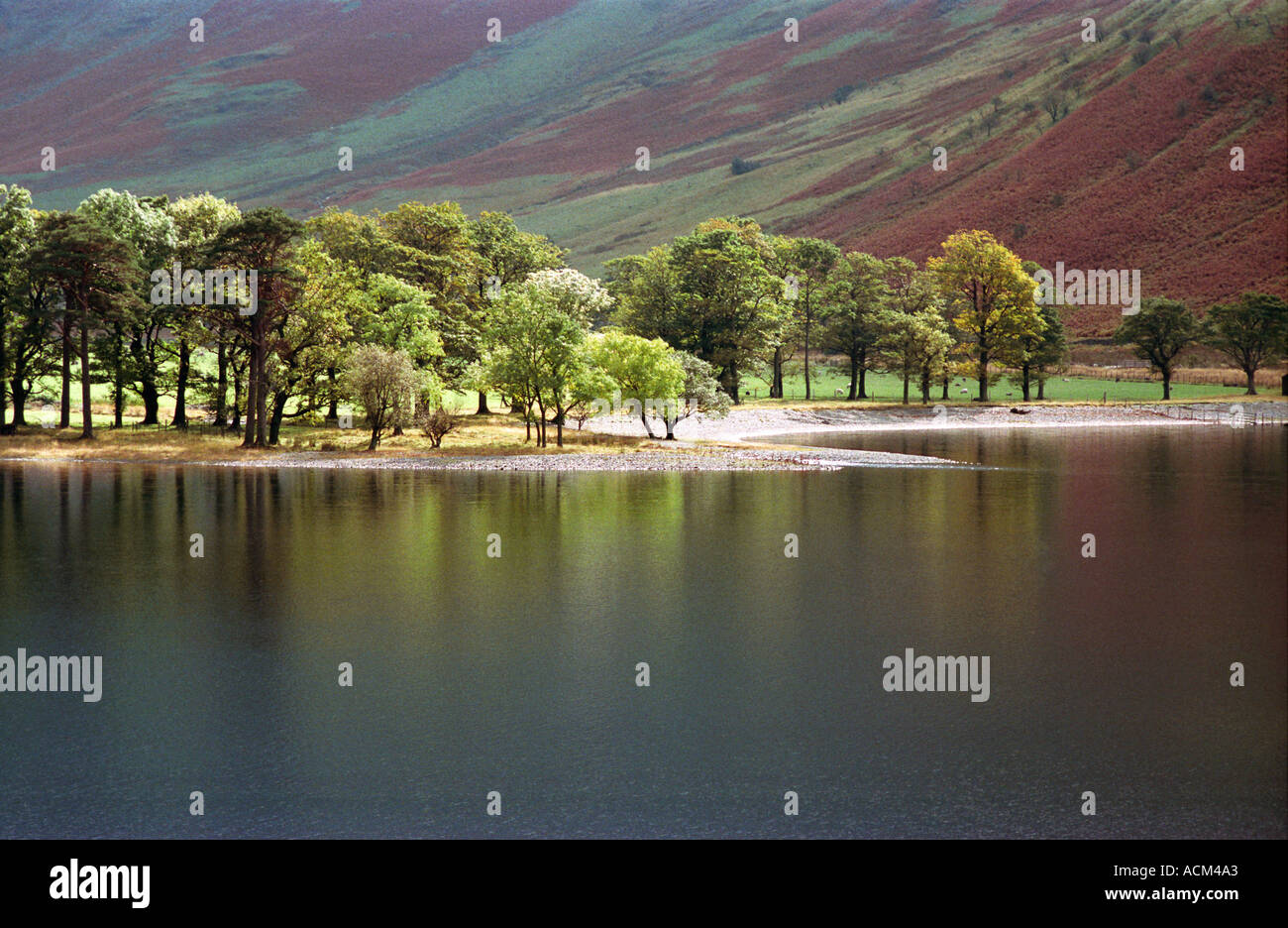 Arbres à Buttermere avec douceur doux reflets dans le lac et couleurs d'automne sur la colline derrière Banque D'Images