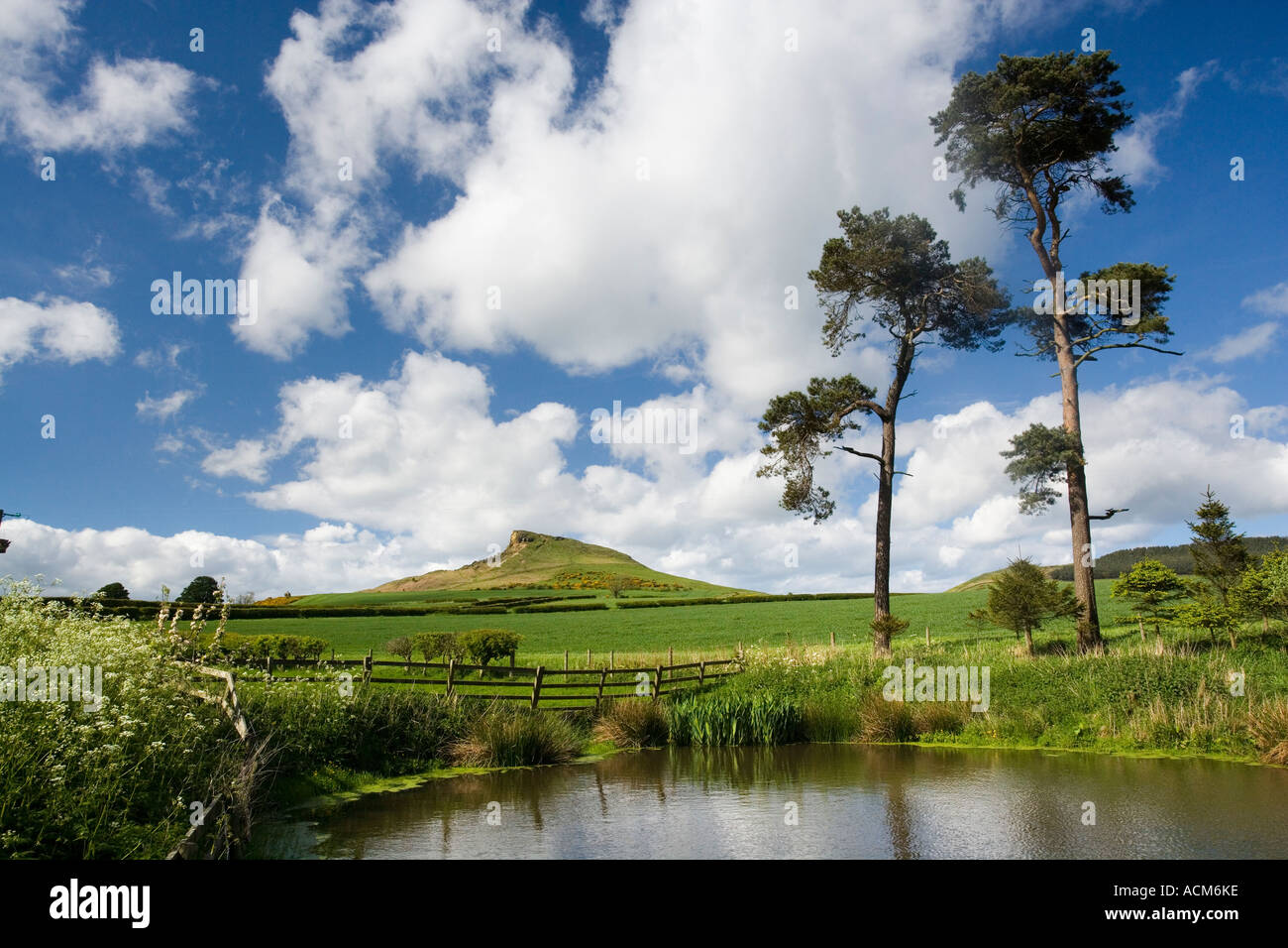 Roseberry Topping de Aireyholme ferme près de Great Ayton North York Moors National Park en Angleterre Banque D'Images