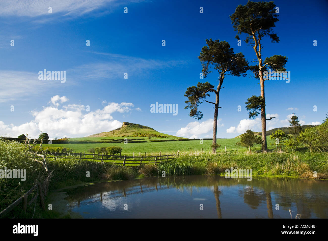 Roseberry Topping de Aireyholme ferme près de Great Ayton North York Moors National Park en Angleterre Banque D'Images