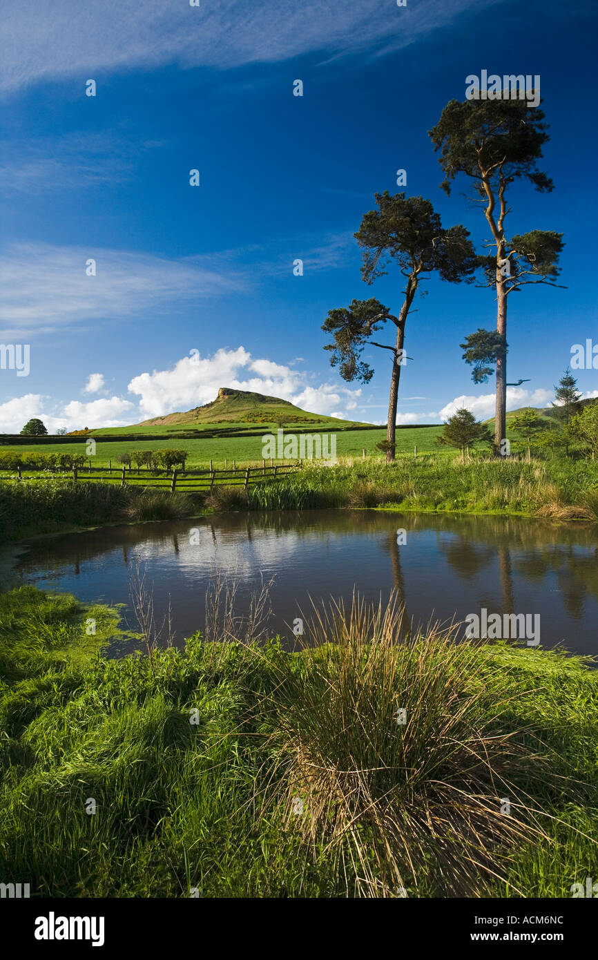 Roseberry Topping de Aireyholme ferme près de Great Ayton North York Moors National Park en Angleterre Banque D'Images