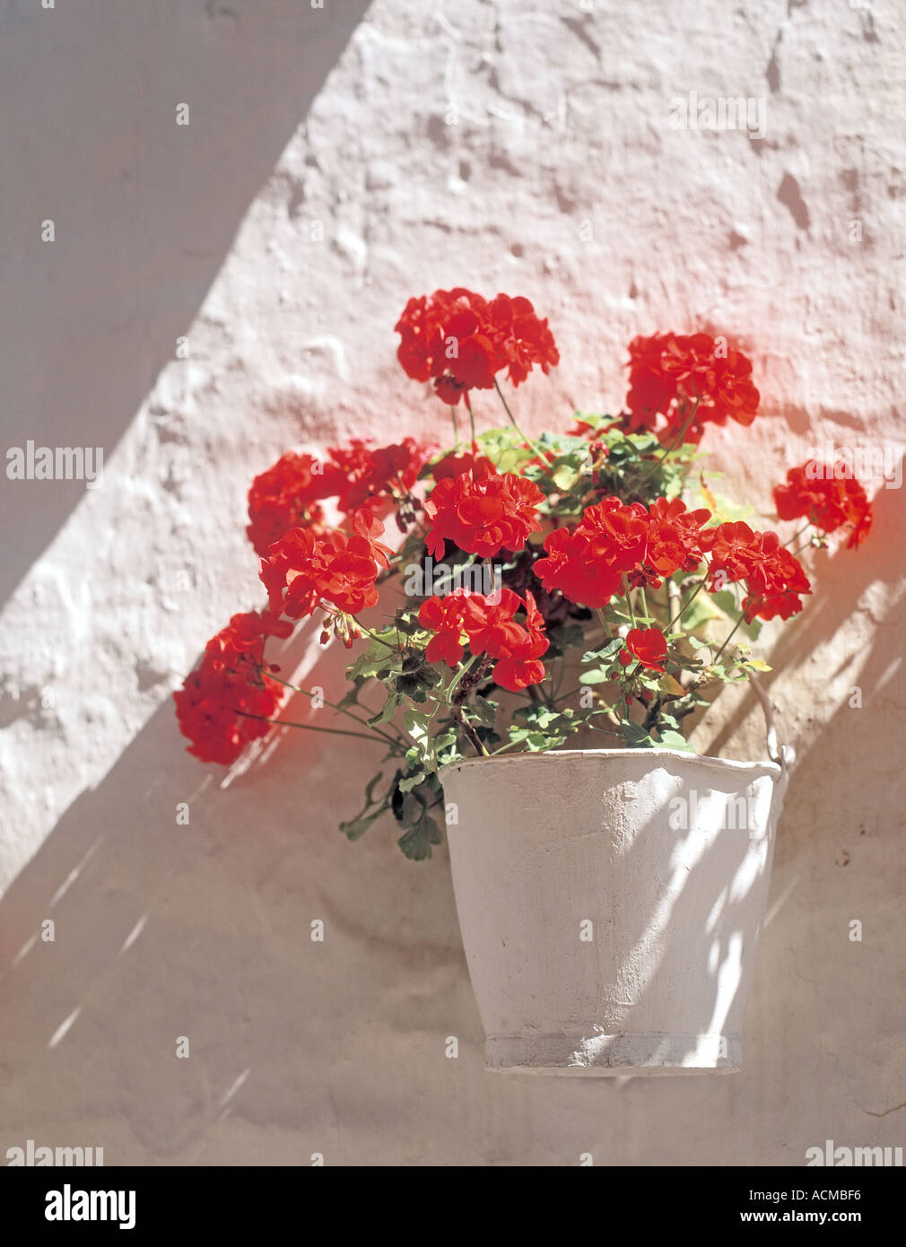 Andalousie Espagne fleurs en pot contre un mur blanc Banque D'Images