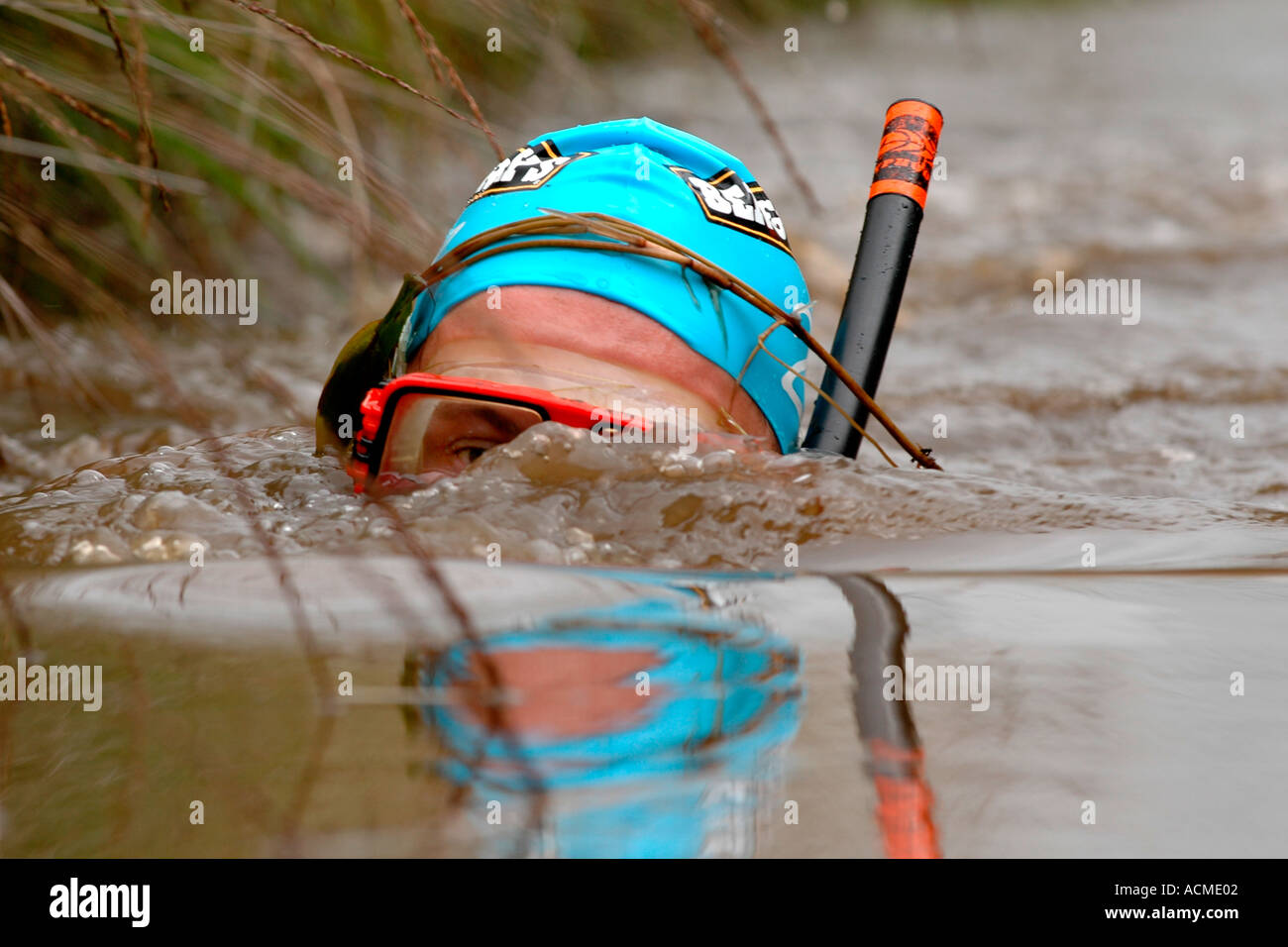 Concurrent dans le monde annuel Bog Snorkelling Championships à Llanwrtyd Wells Powys UK Banque D'Images