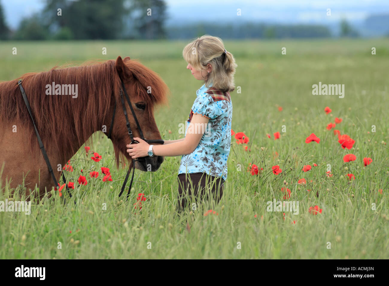 21 ans femme allemande sur une prairie avec une tête de cheval. L'Allemagne, de l'Europe Banque D'Images