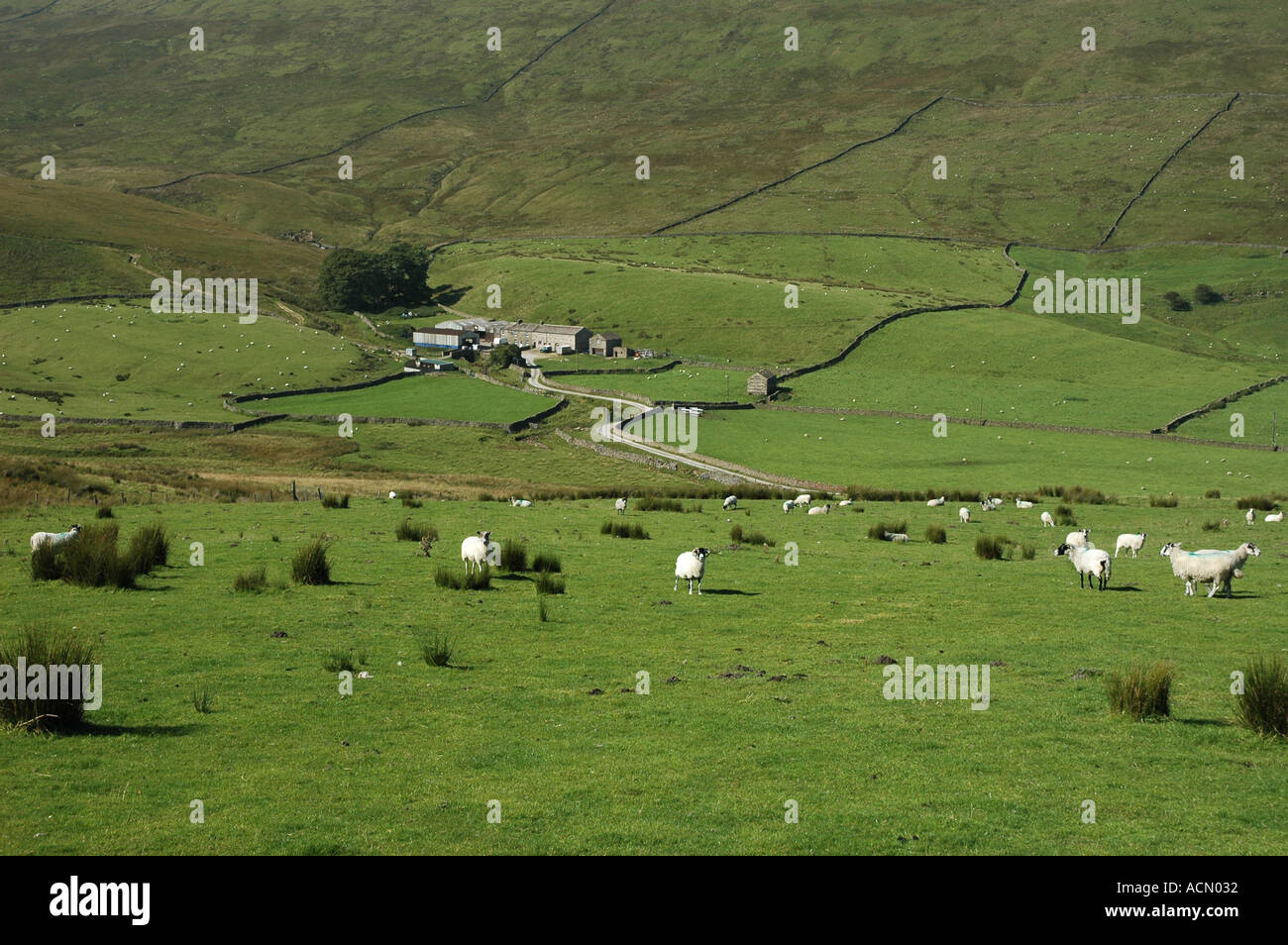 Yorkshire Moors Angleterre Banque D'Images