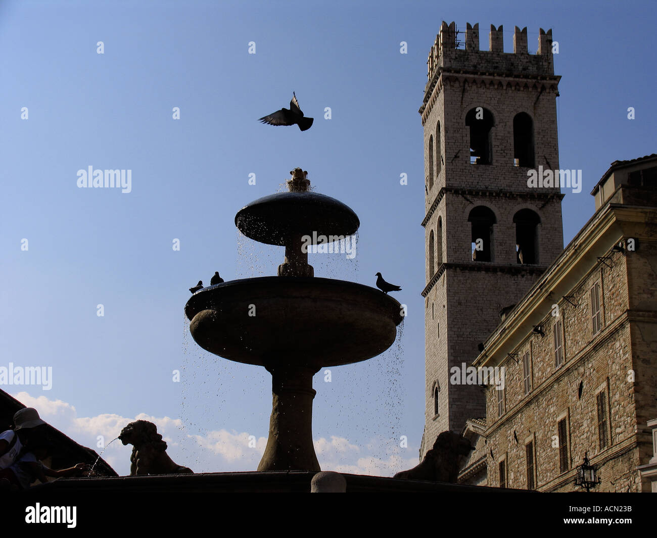 Flying Pigeon au-dessus de la fontaine de la Piazza del Comune avec le Temple Romain de Minerve et Torre del Popolo dans le contexte d'un Banque D'Images