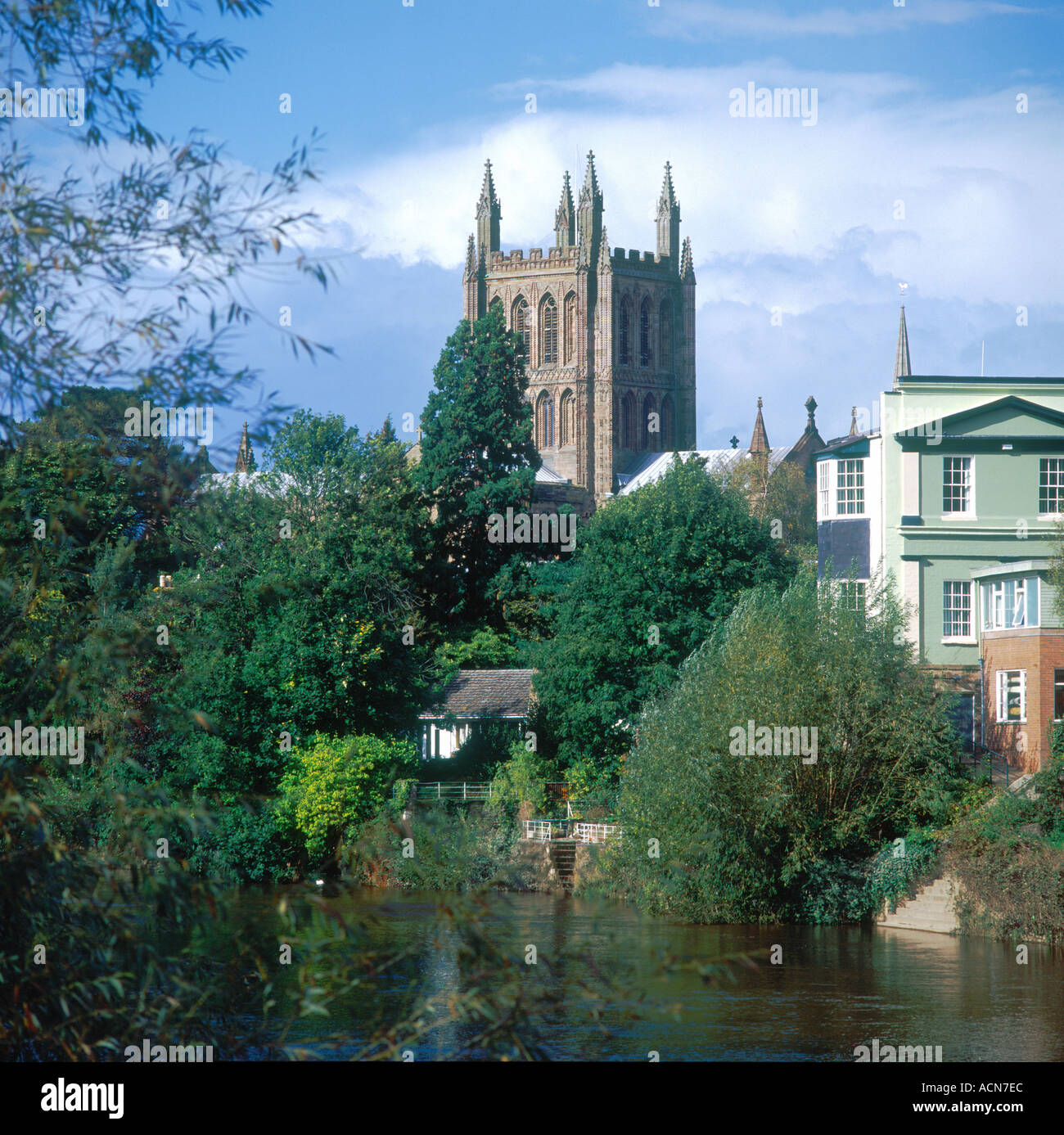 Cathédrale de Hereford et la rivière Wye Hereford, Angleterre Banque D'Images