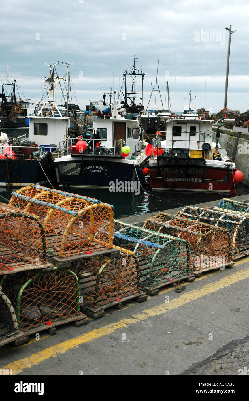 Des casiers à homard et des bateaux de pêche à quai l'Angleterre Northumberland Seahouses Banque D'Images