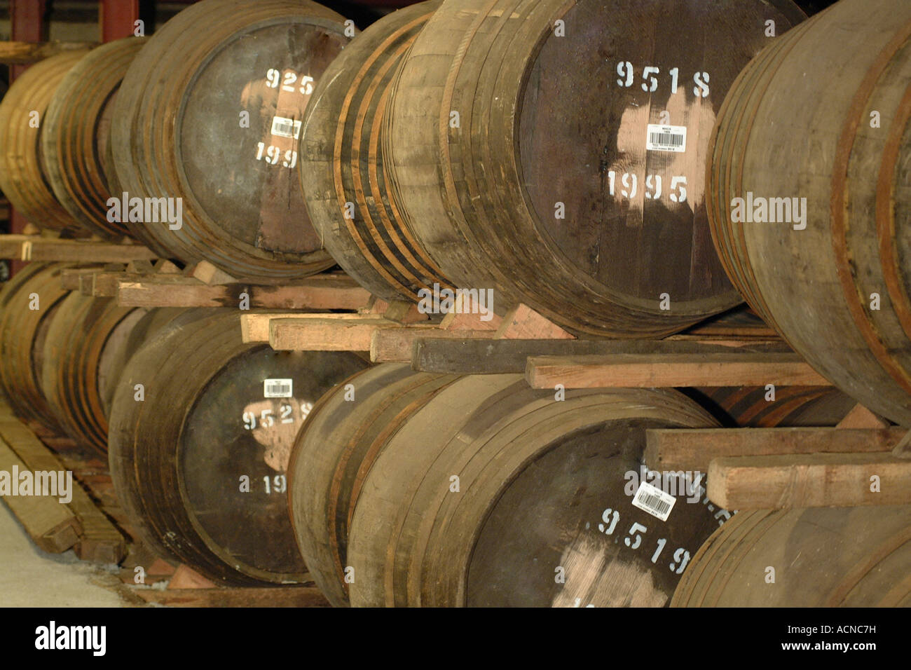 Barils de whisky en cave Banque D'Images