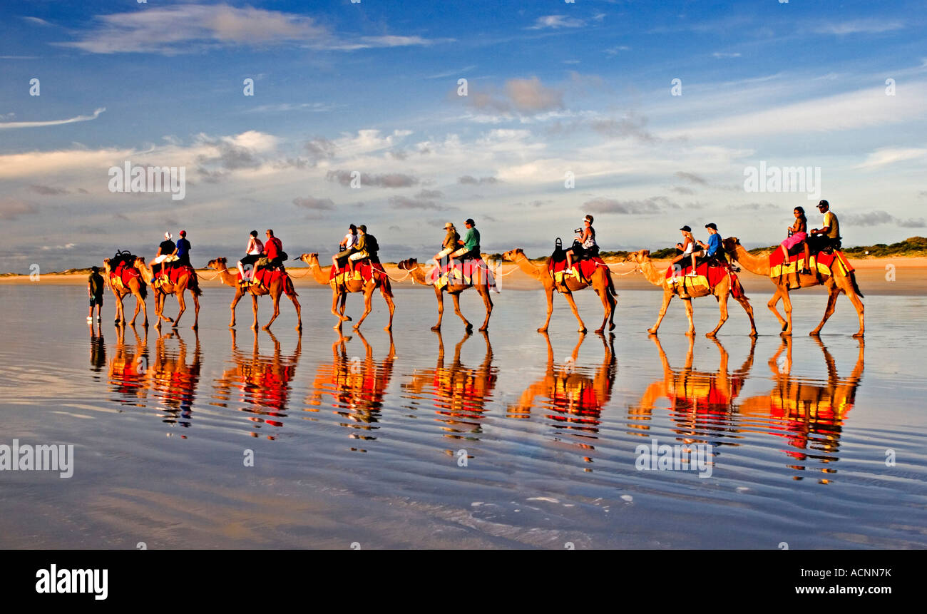 En chameau sur Cable Beach, Broome, Australie occidentale Banque D'Images