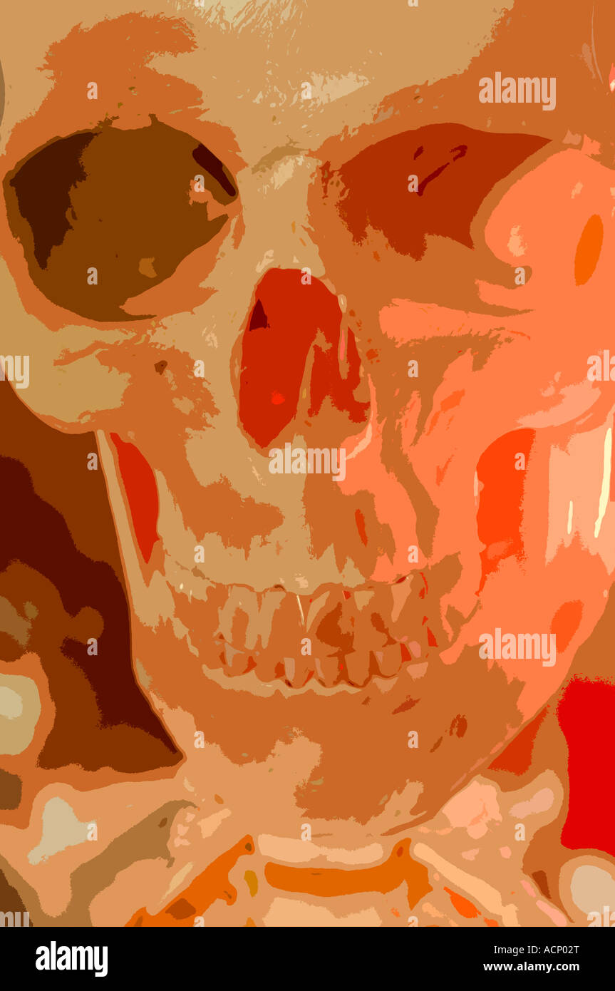 Une impression artistique d'un crâne humain à l'aquarelle Banque D'Images