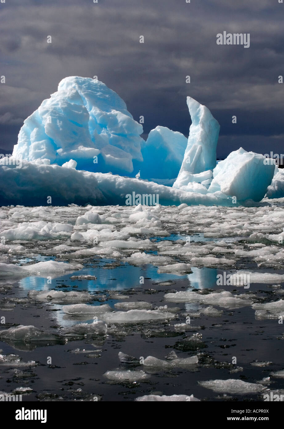 Iceberg, Glacier San Rafael, Patagonie, Chili Banque D'Images