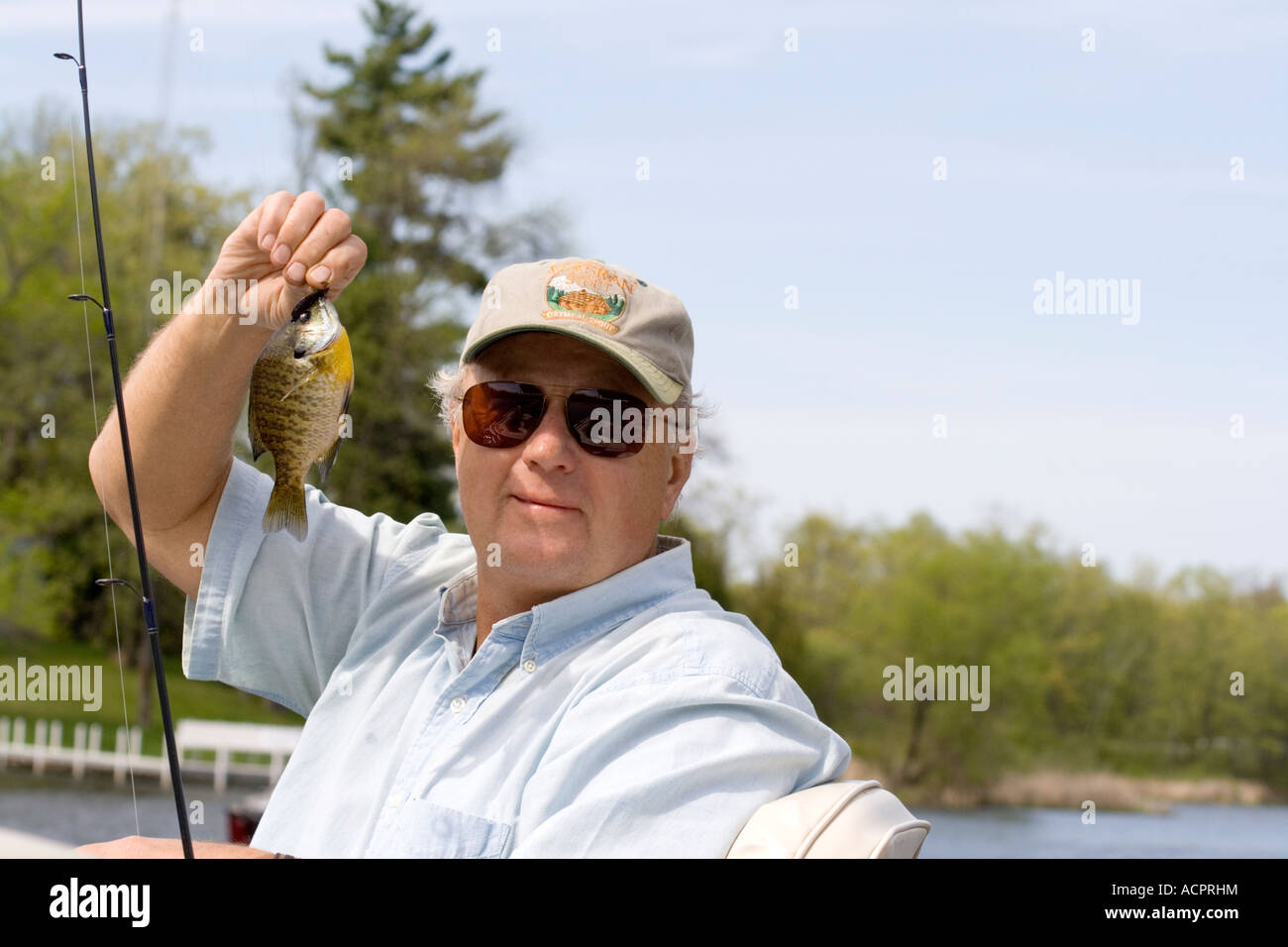 Fisherman holding a attraper et relâcher le crapet-soleil (Lepomis macrochirus. Gull Lake Nisswa Minnesota USA Banque D'Images