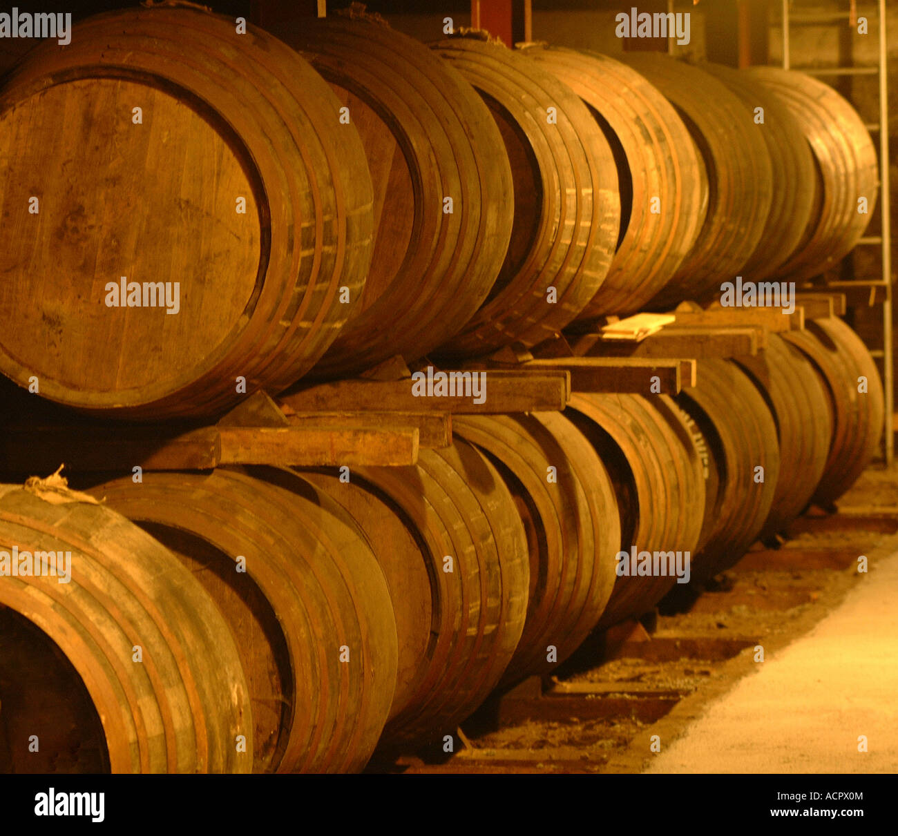 tonneaux de whisky Banque D'Images