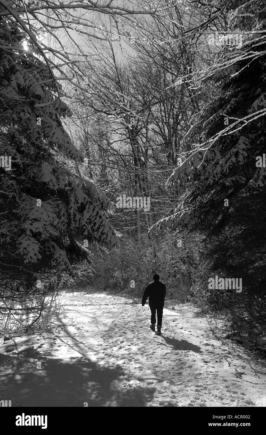 Paysage d'hiver enneigé avec personne Banque D'Images