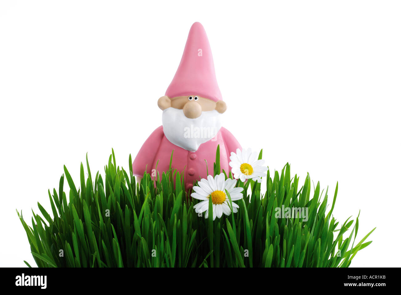 Nain de jardin, l'herbe en premier plan Banque D'Images