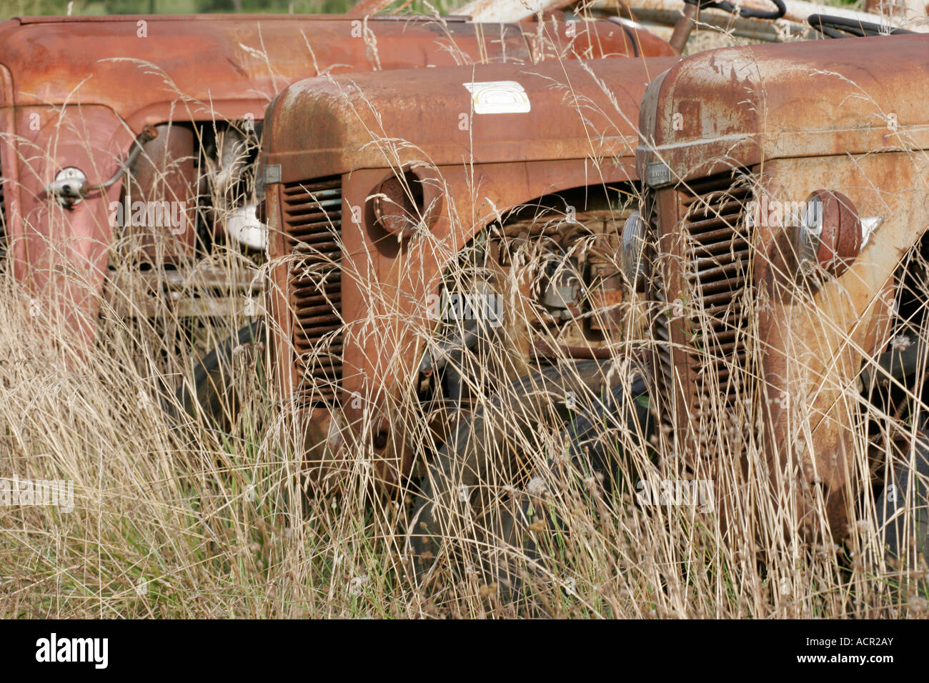 Une rangée de vieux millésime 1950 tracteurs agricoles rouillent dans un champ dans le sud-ouest de la France Banque D'Images